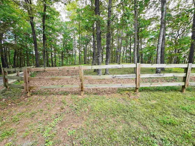 a view of backyard with green space