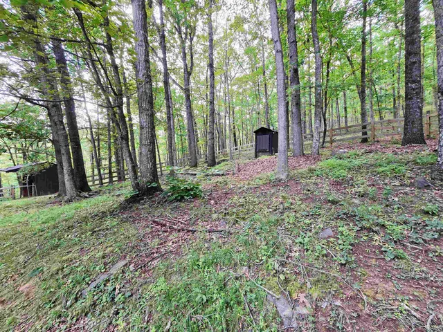 a view of outdoor space and garden