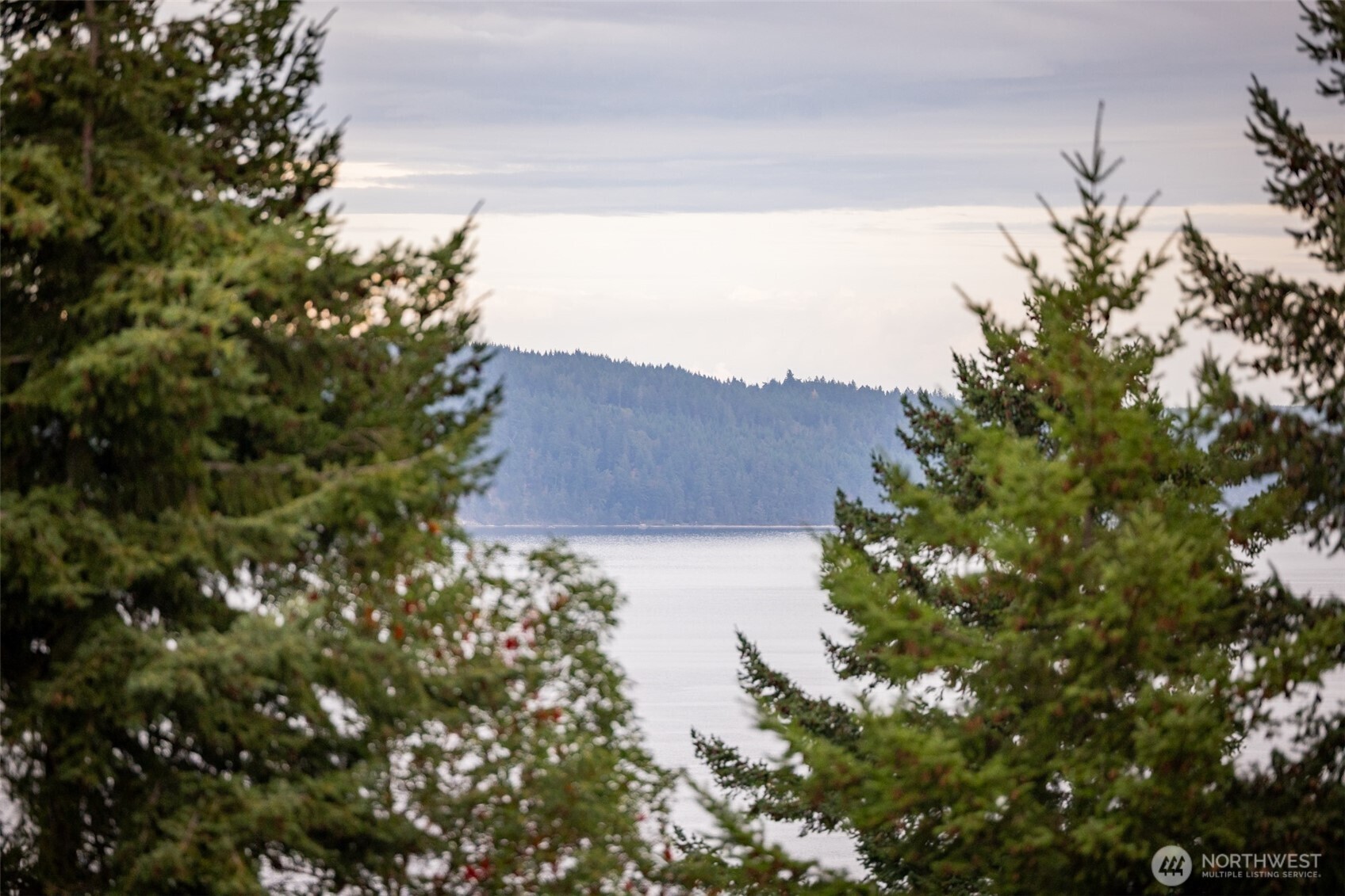 382 Discovery View Drive Sequim, WA 98382 - Photo 2 of 40 a view of a tree in a garden