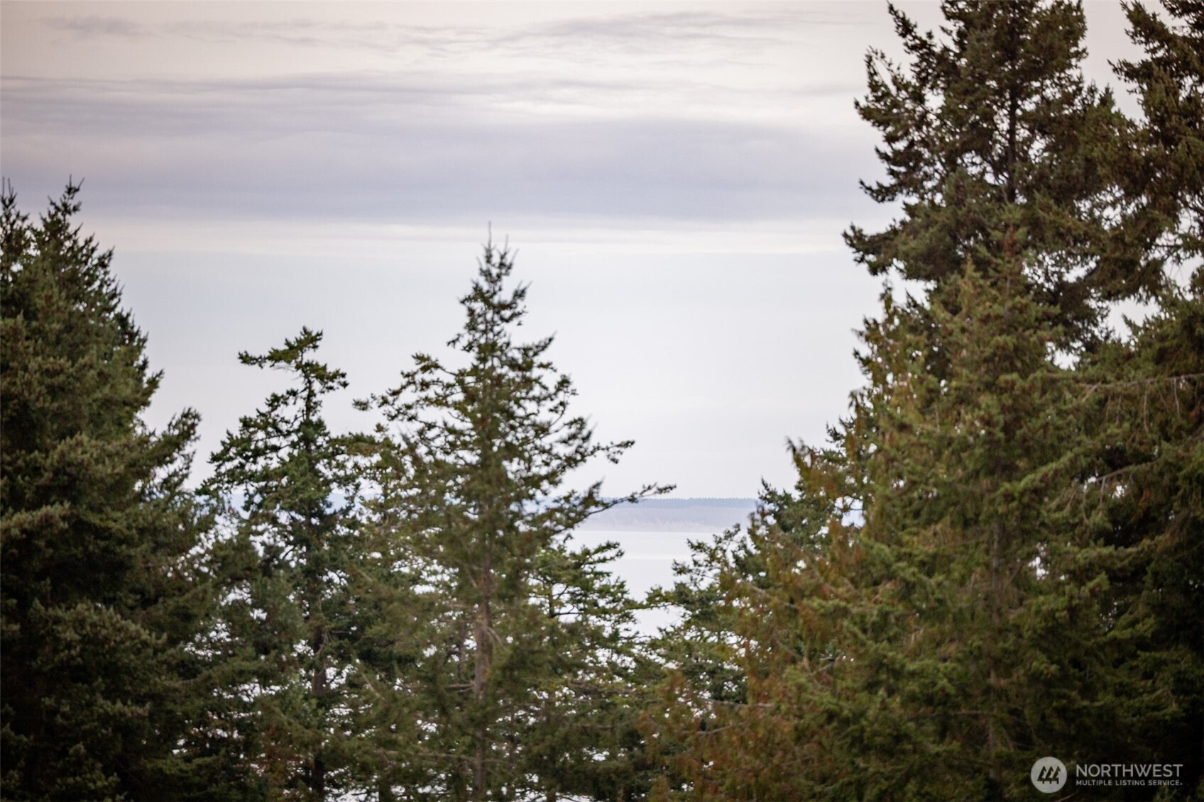 382 Discovery View Drive Sequim, WA 98382 - Photo 4 of 40 a view of a sky