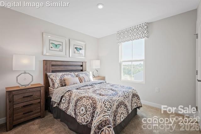 1017 Pemberley Street, Unit 3182 Lancaster, SC 29720 - Photo 9 of 12