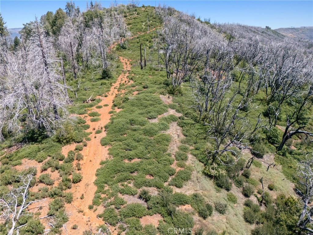 0 Stephens Ridge Road Berry Creek, CA 95916 - Photo 5 of 8