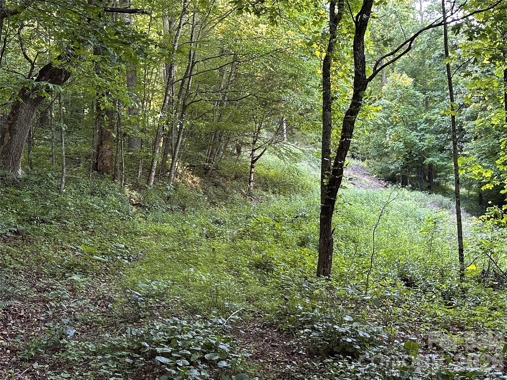 65 Blue Ridge Gem Mine Road Spruce Pine, NC 28777 - Photo 10 of 30