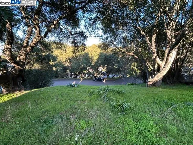 a view of yard with swimming pool and green space