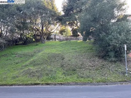 a view of a yard with palm trees