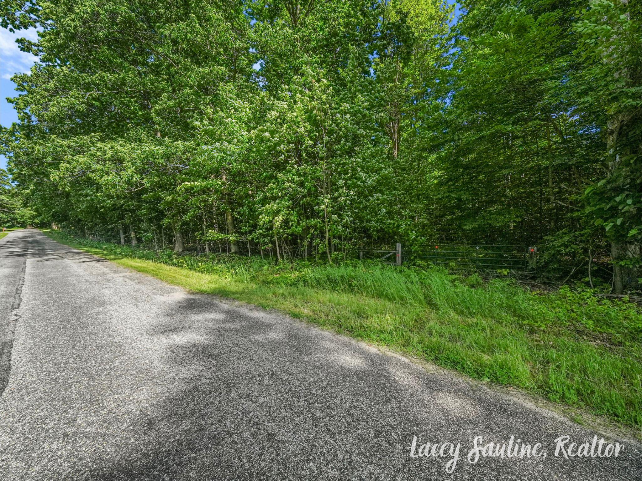 West Finkle Road Cadillac, MI 49601 - Photo 4 of 21 4