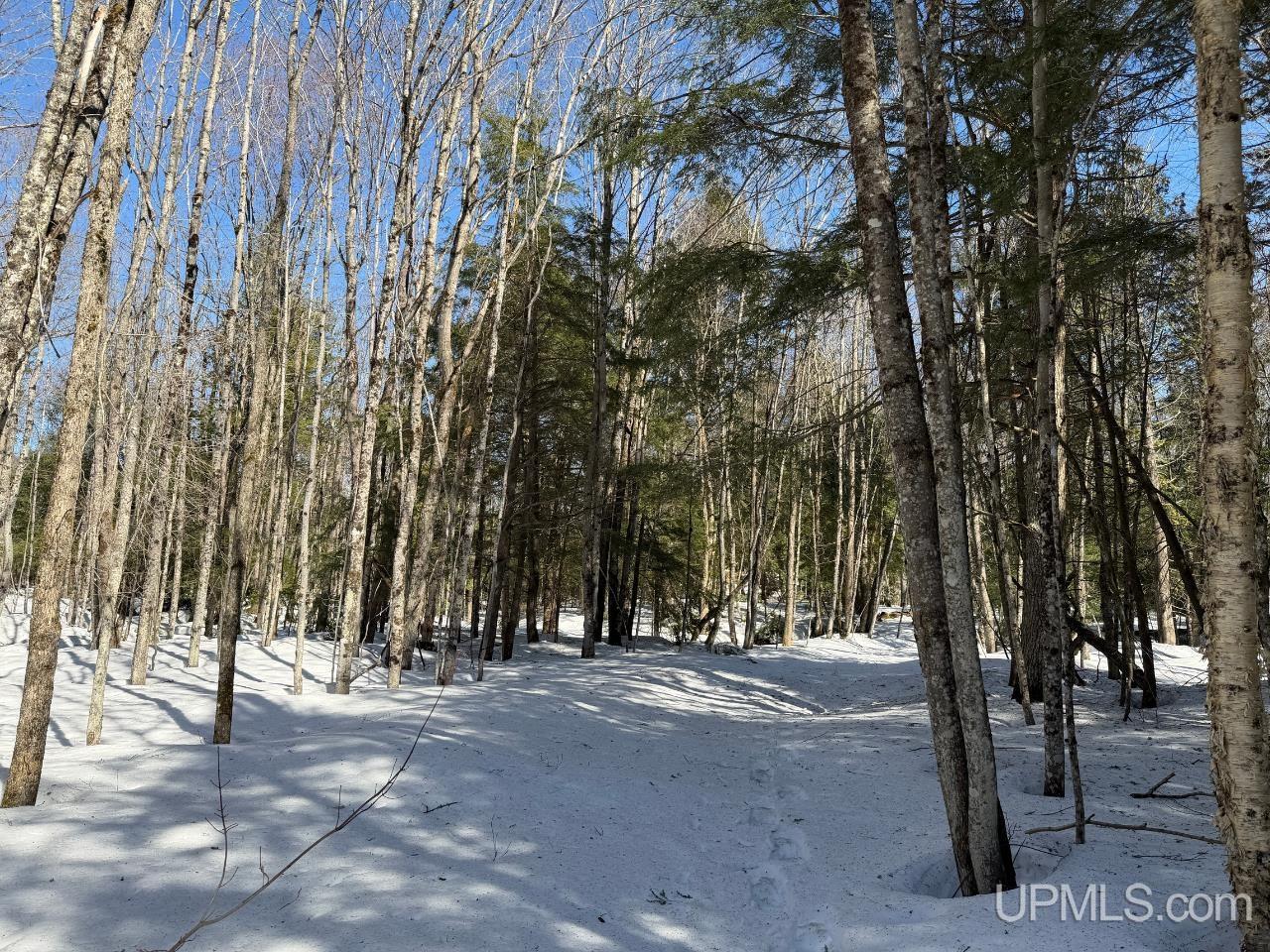 40-acres Dukes Road Skandia, MI 49885 - Photo 12 of 24
