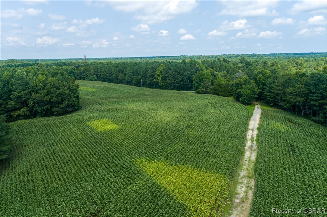 0 County Line Road Saluda, VA 23149 - Photo 3 of 36 Northern Gloucester County