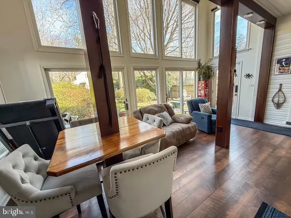 a view of a flower in a garden