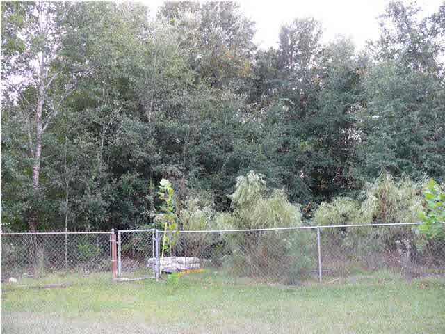 5571 Berryhill Road Milton, FL 32570 - Photo 10 of 10 Area of trees on south west side of home showing a nice green area.