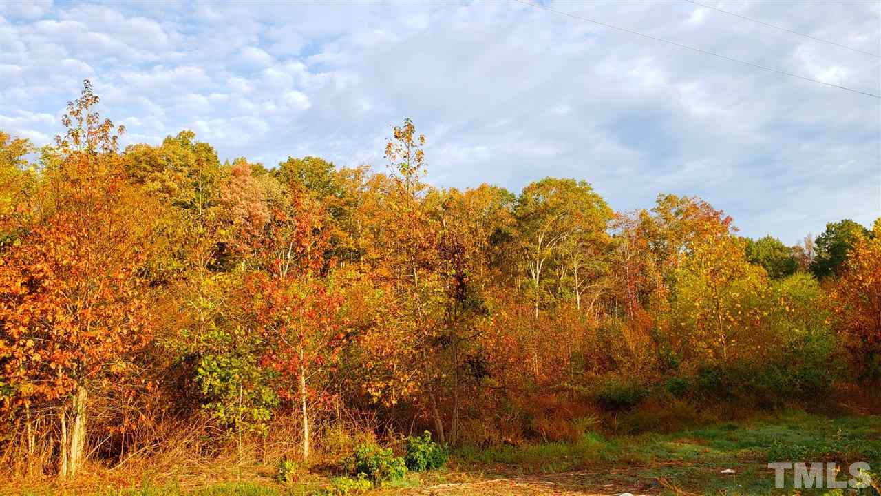 0 Mt Harmony Church Road Rougemont, NC 27572 - Photo 2 of 3 a view of a yard