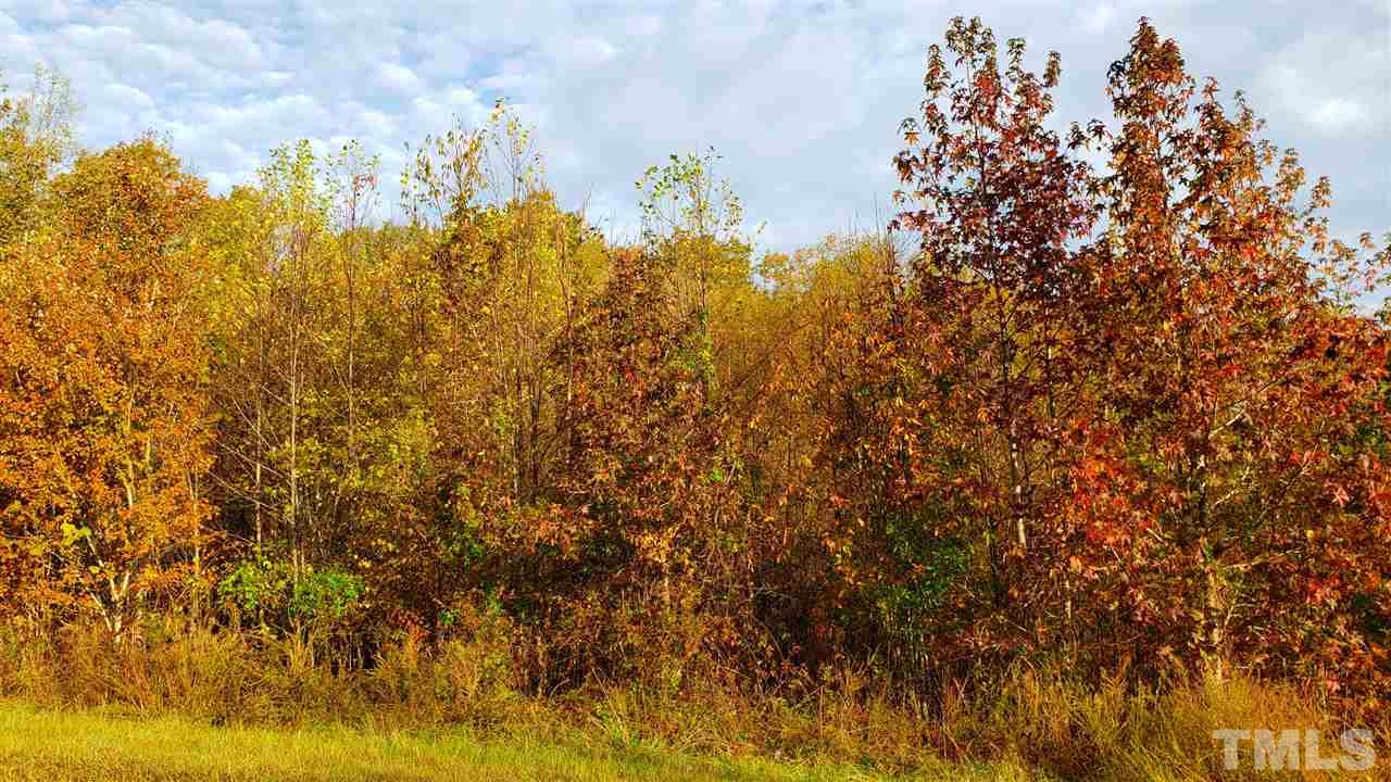 0 Mt Harmony Church Road Rougemont, NC 27572 - Photo 3 of 3 a view of a bunch of trees