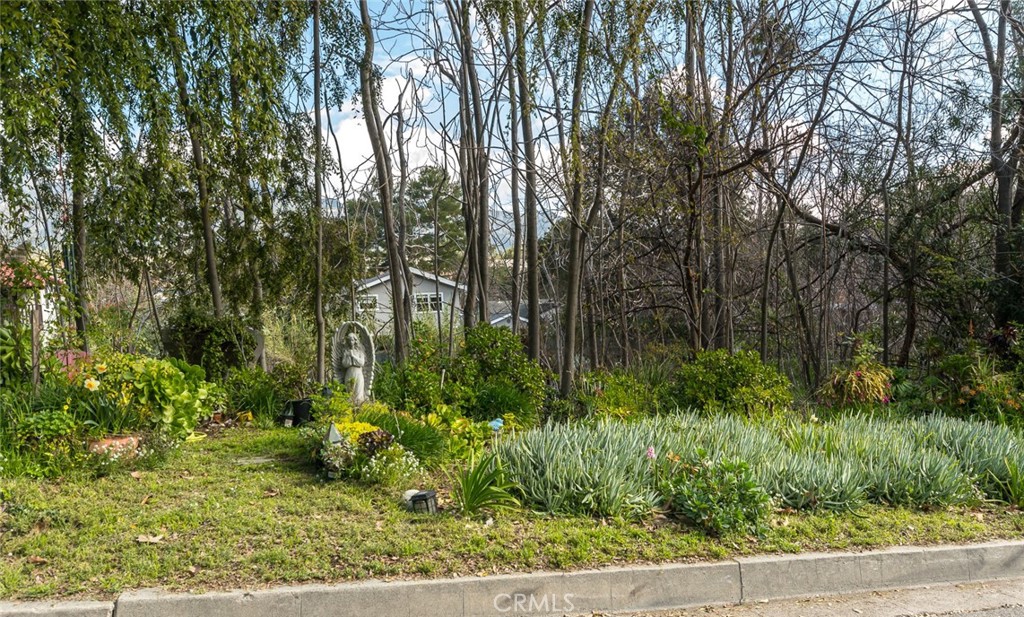 3611 El Lado Drive Glendale, CA 91208 - Photo 22 of 31 a view of backyard with green space