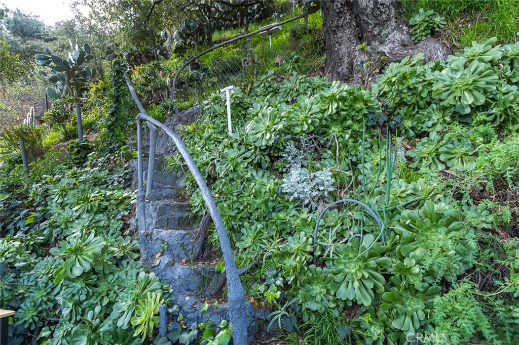 3611 El Lado Drive Glendale, CA 91208 - Photo 27 of 31 a view of a garden with a house