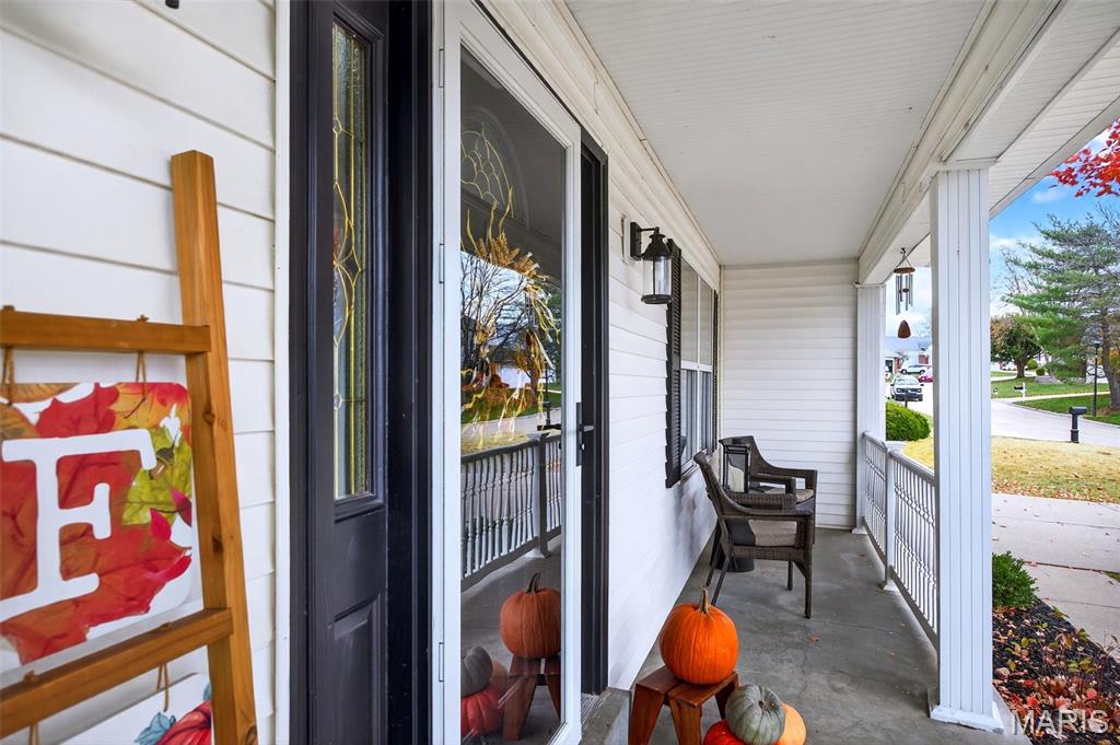 436 Willow View Lane St. Peters, MO 63376 - Photo 25 of 70