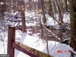 38 Cider Press Road Manheim, PA 17545 - Photo 8 of 10