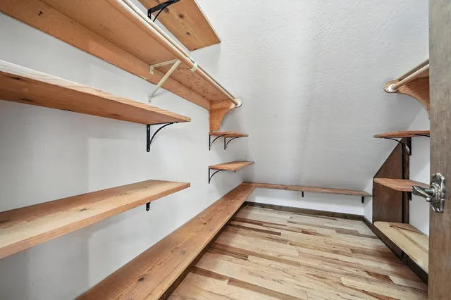 a view of a yard with plants and trees