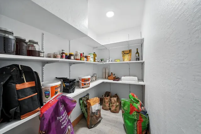 a view of backyard with tree