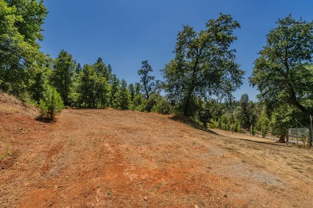 a view of backyard and patio