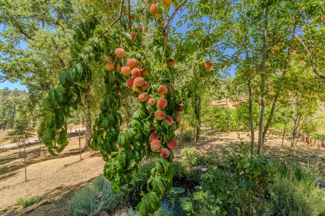 $850,000 | 2781 Mason Road, Rail Road Flat, CA 95248