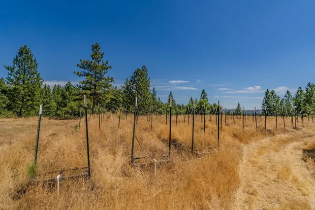 $850,000 | 2781 Mason Road, Rail Road Flat, CA 95248