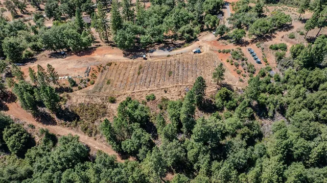 a view of an entryway with wooden floor and door