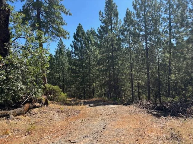 $850,000 | 2781 Mason Road, Rail Road Flat, CA 95248