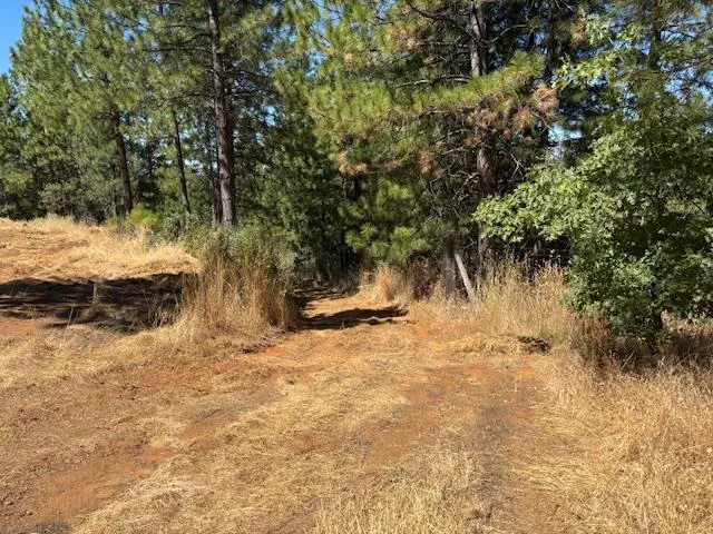 $850,000 | 2781 Mason Road, Rail Road Flat, CA 95248