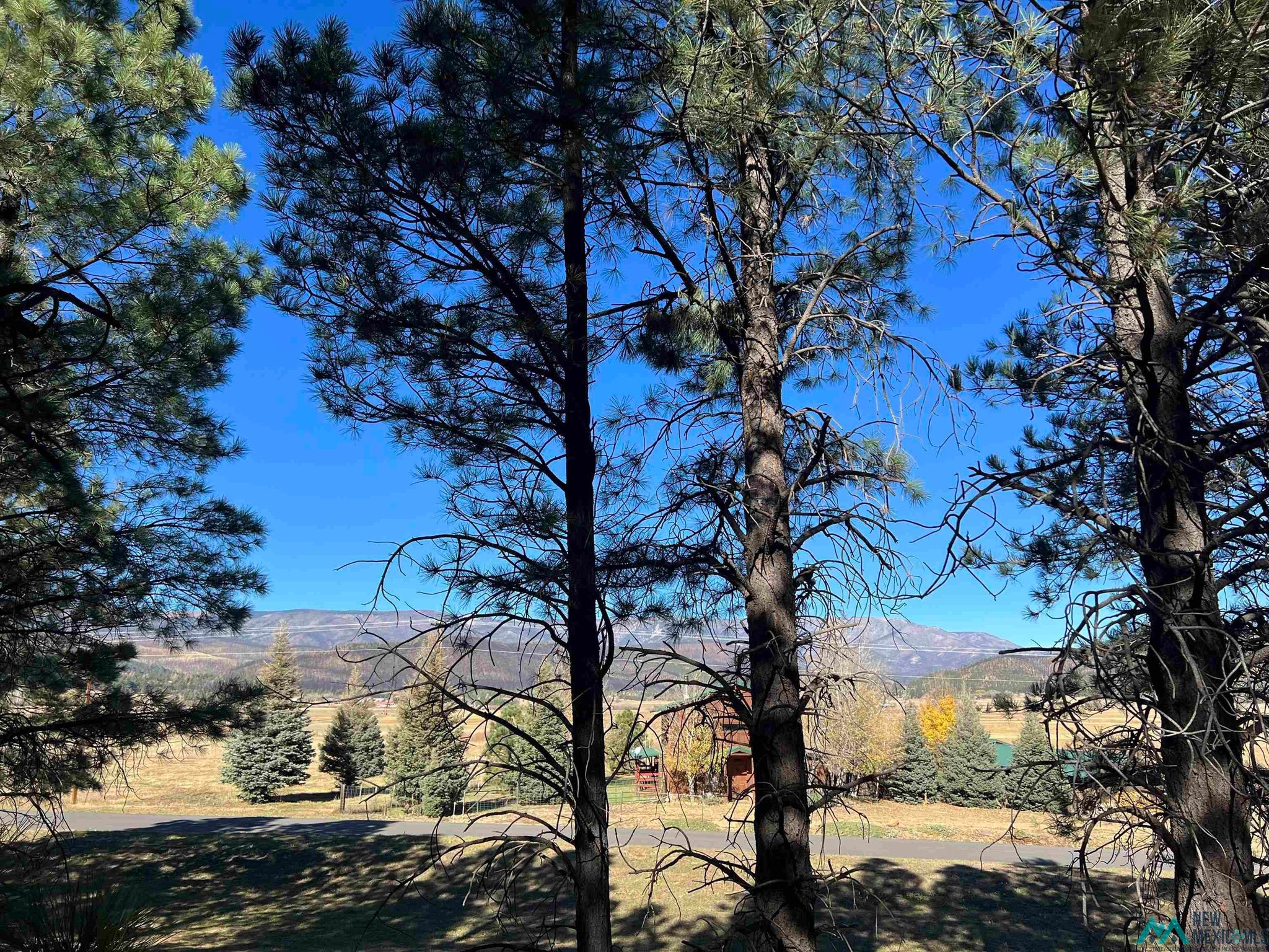 1 Chapel Road Rociada, NM 87742 - Photo 5 of 9 Gallery Image 5