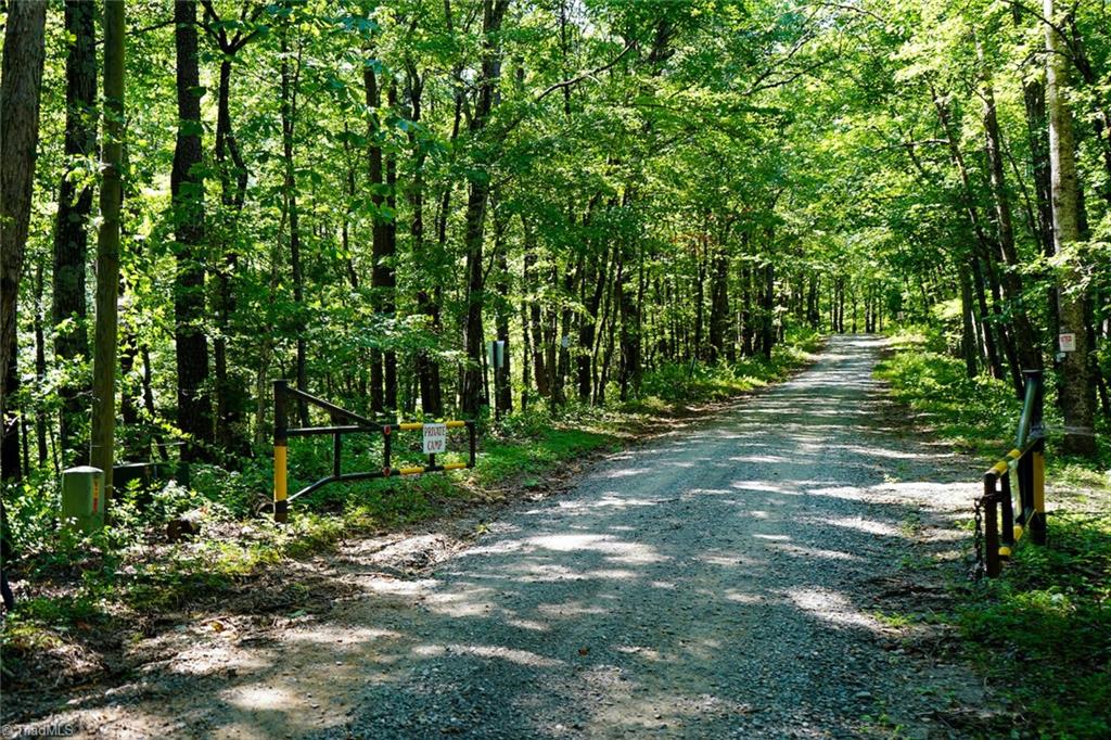 671 Ramey Orchard Road Lowgap, NC 27024 - Photo 4 of 50 Gallery Image 4