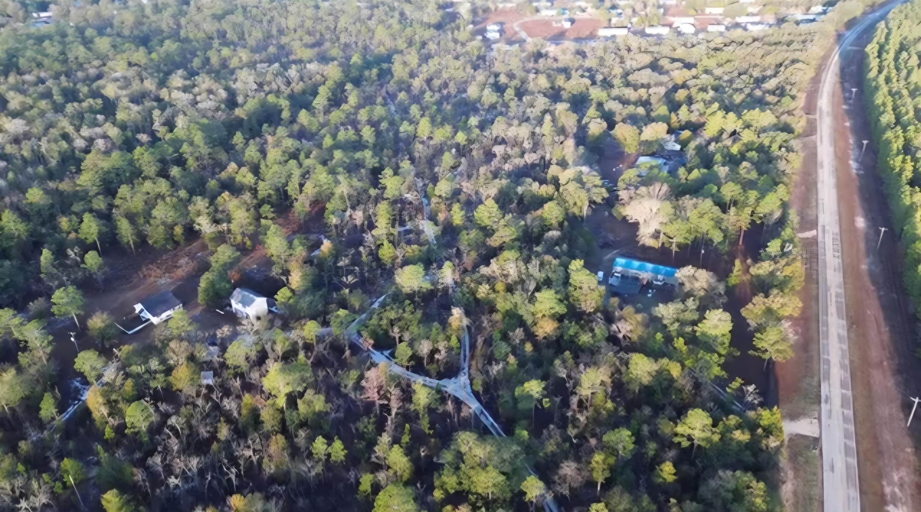 2044 McCall Bridge Road Quincy, FL 32351 - Photo 10 of 17 Gallery Image 10