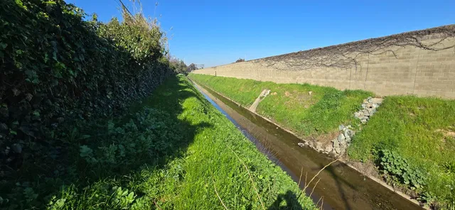 a view of a lush green space