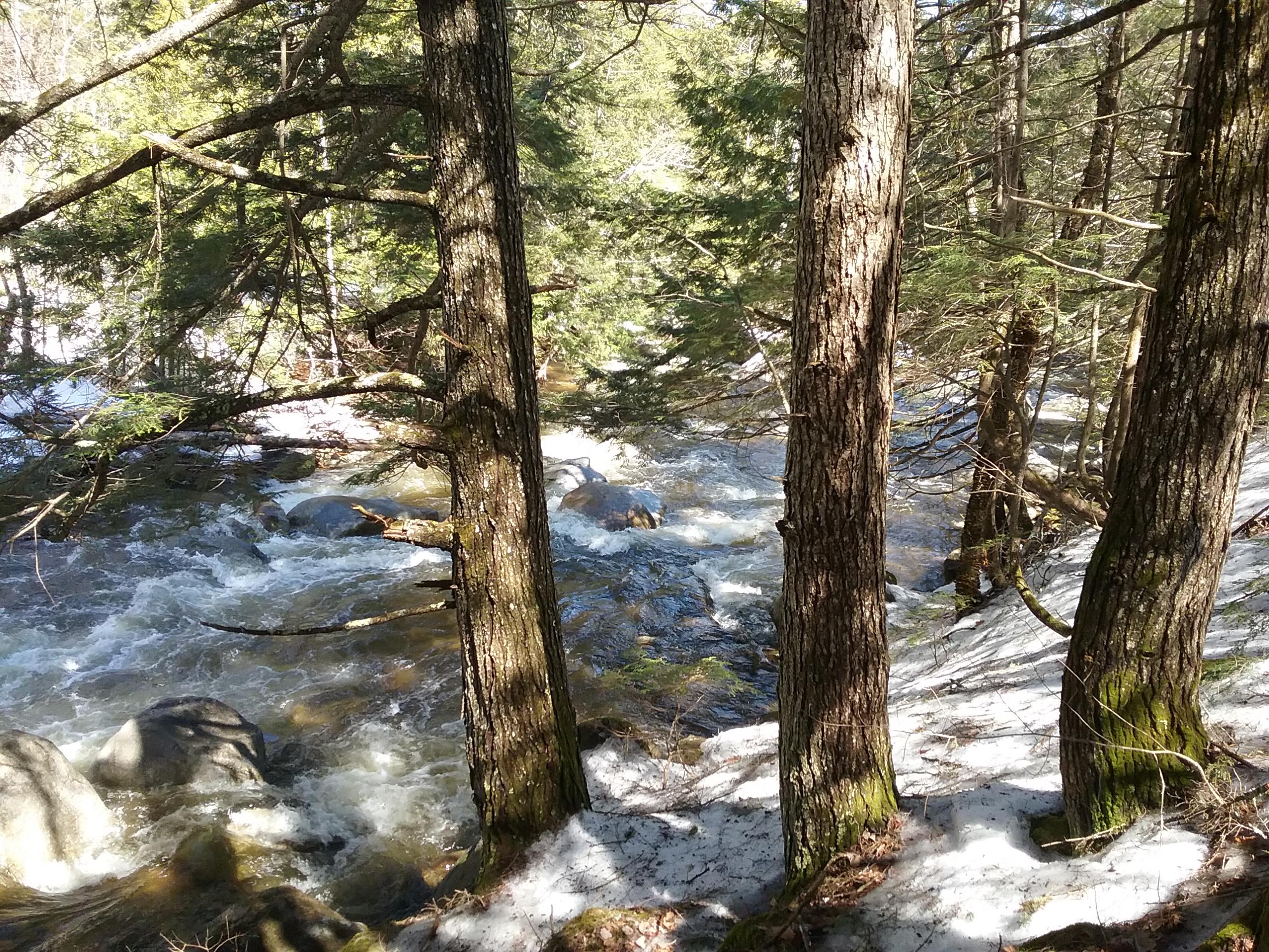 R11-7b Dustin Road Avon, ME 04966 - Photo 20 of 22 Stream 3