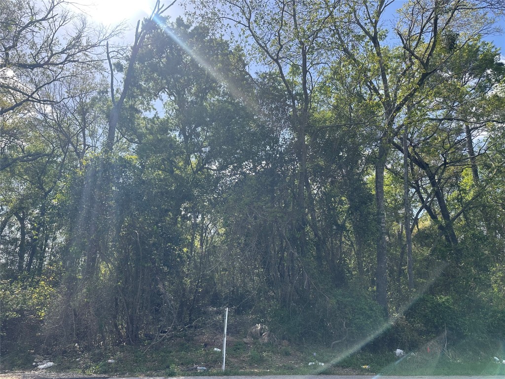 0 South 7th Street Conroe, TX 77301 - Photo 2 of 8 a view of a forest