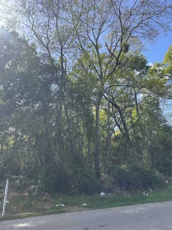 0 South 7th Street Conroe, TX 77301 - Photo 3 of 8 a view of a yard