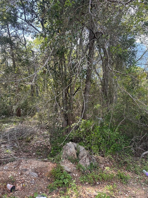 0 South 7th Street Conroe, TX 77301 - Photo 6 of 8 a view of a forest with trees in the background