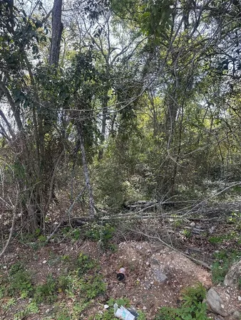 a view of a yard with a tree