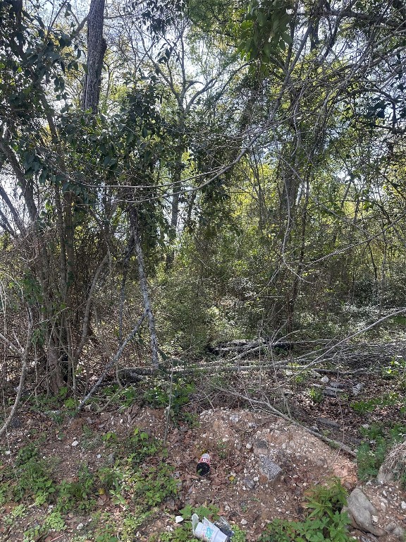 0 South 7th Street Conroe, TX 77301 - Photo 7 of 8 a view of a yard with a tree