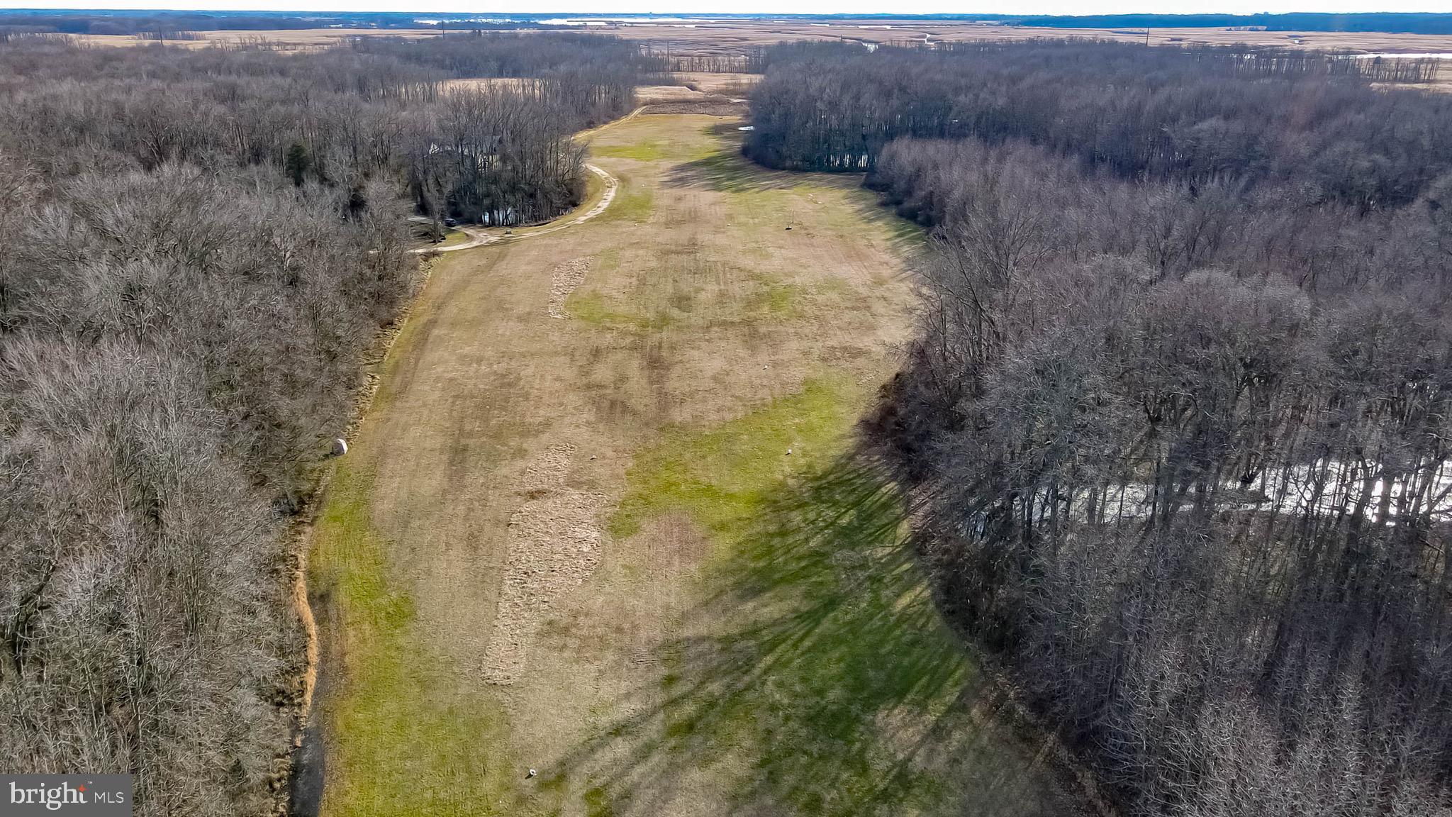 816 Hawks Bridge Road Mannington, NJ 08079 - Photo 46 of 50