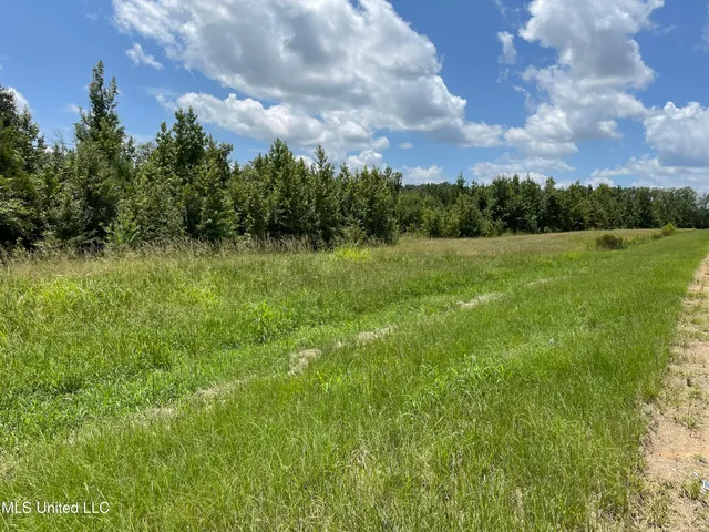 $361,800 | Canton Parkway, Canton, MS 39046