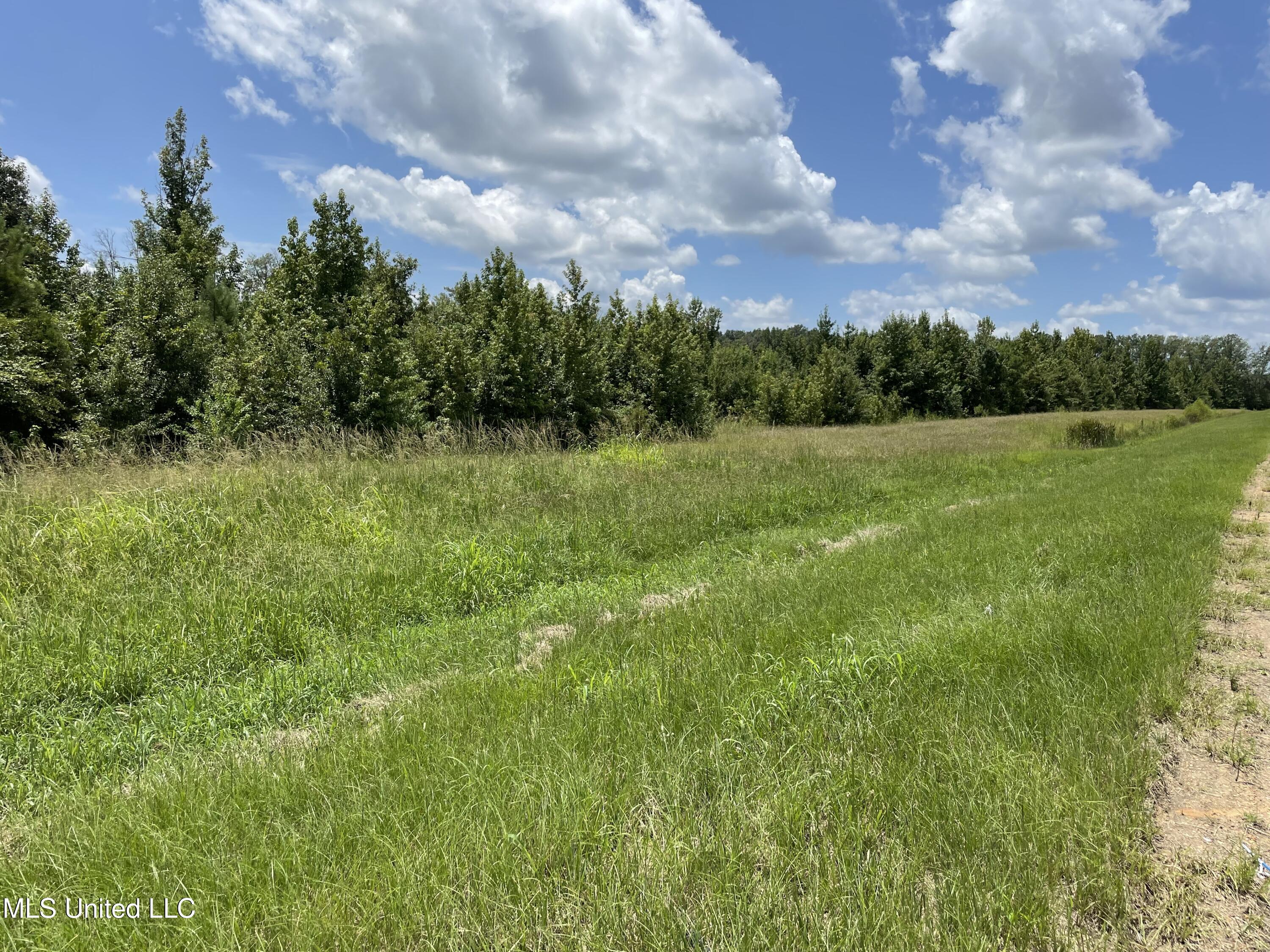 Canton Parkway Canton, MS 39046 - Photo 3 of 6 IMG_1494