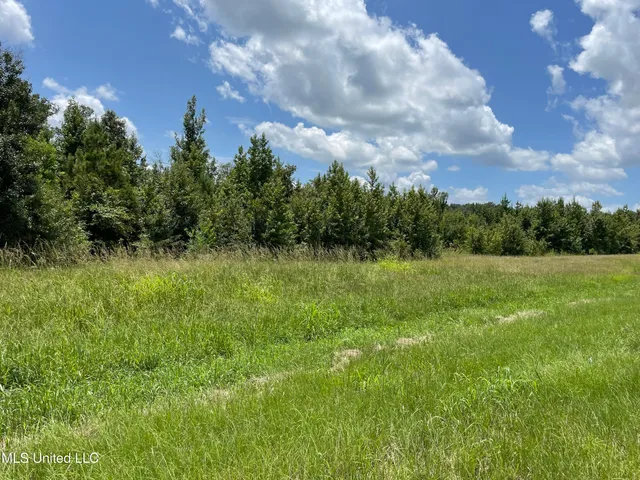 $361,800 | Canton Parkway, Canton, MS 39046