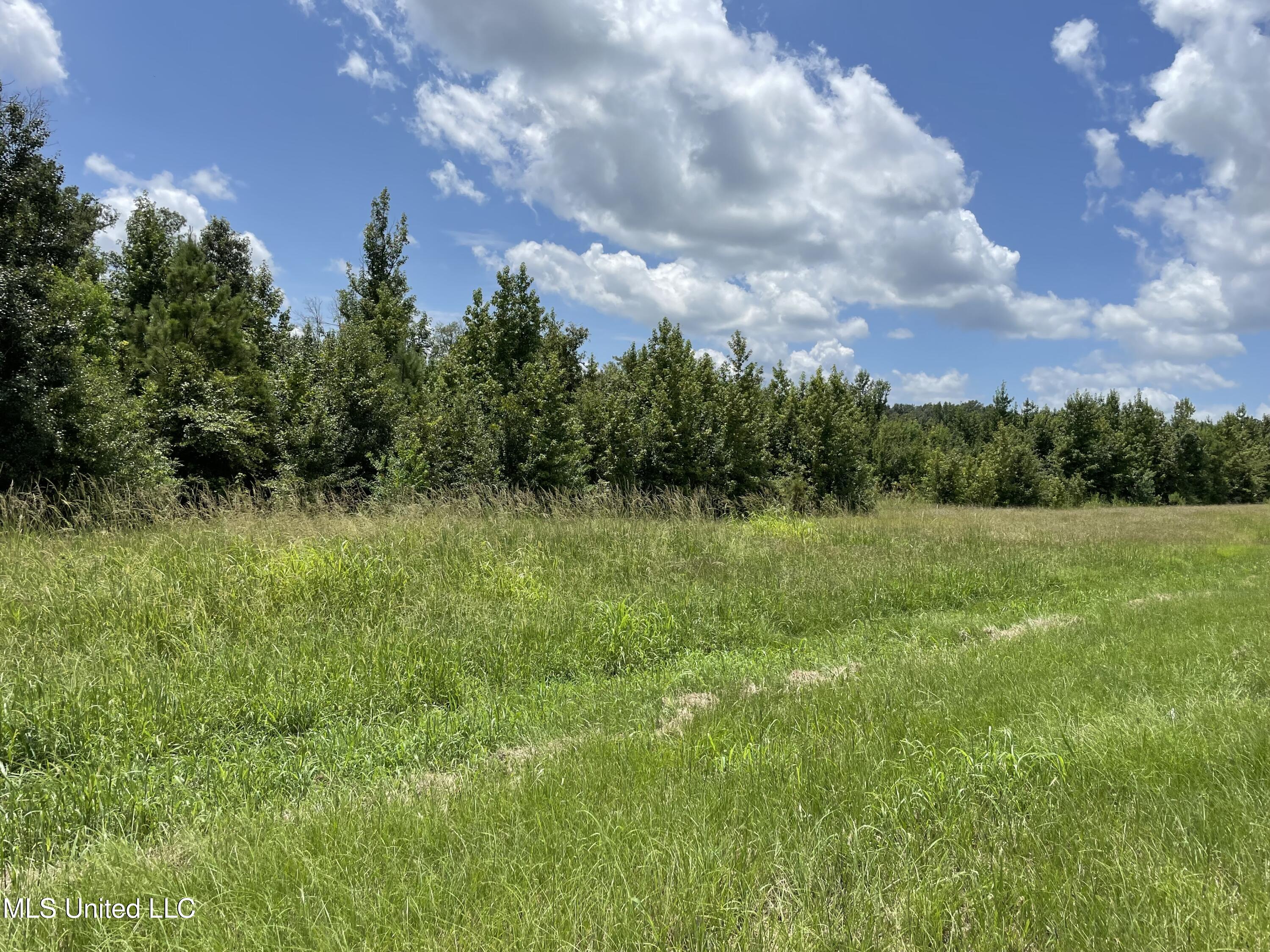 Canton Parkway Canton, MS 39046 - Photo 4 of 6 IMG_1493