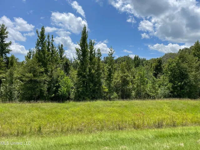 $361,800 | Canton Parkway, Canton, MS 39046