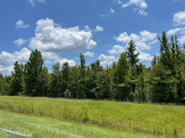 $361,800 | Canton Parkway, Canton, MS 39046