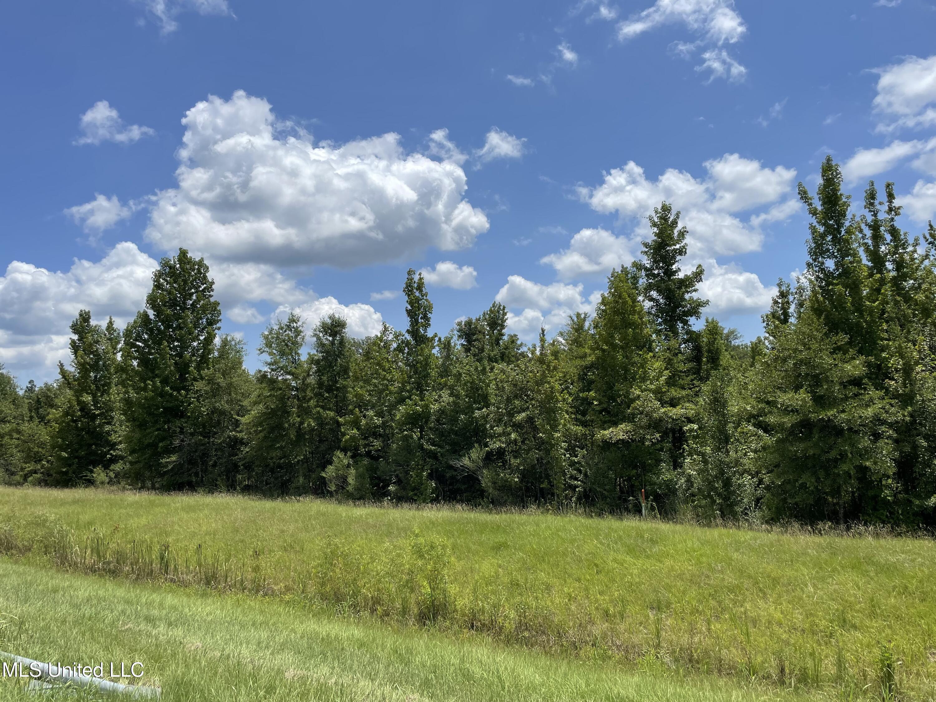 Canton Parkway Canton, MS 39046 - Photo 6 of 6 IMG_1487