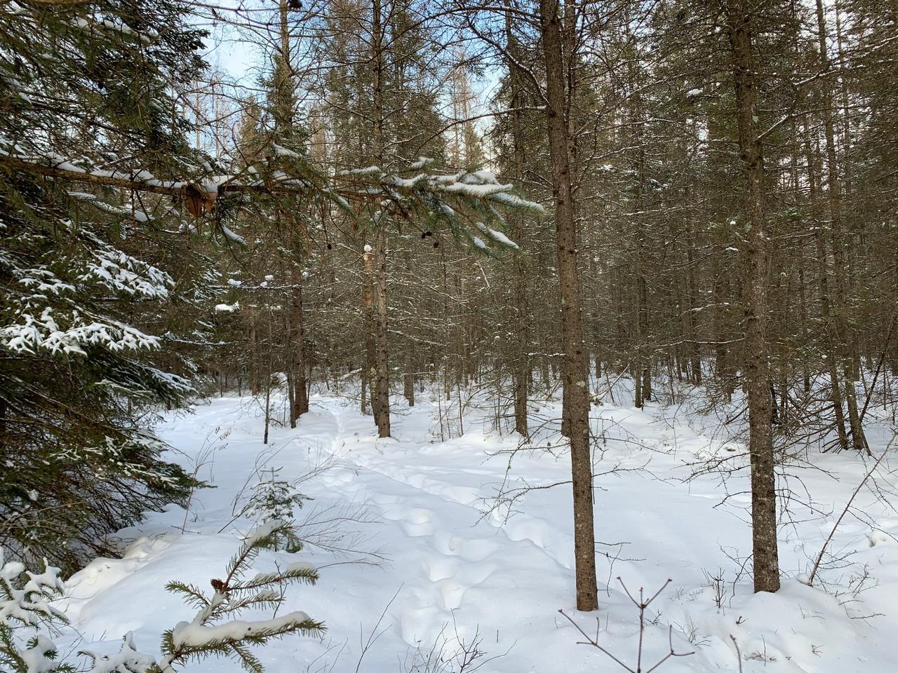 On Kurtz Road Rhinelander, WI 54501 - Photo 7 of 10 Gallery Image 7