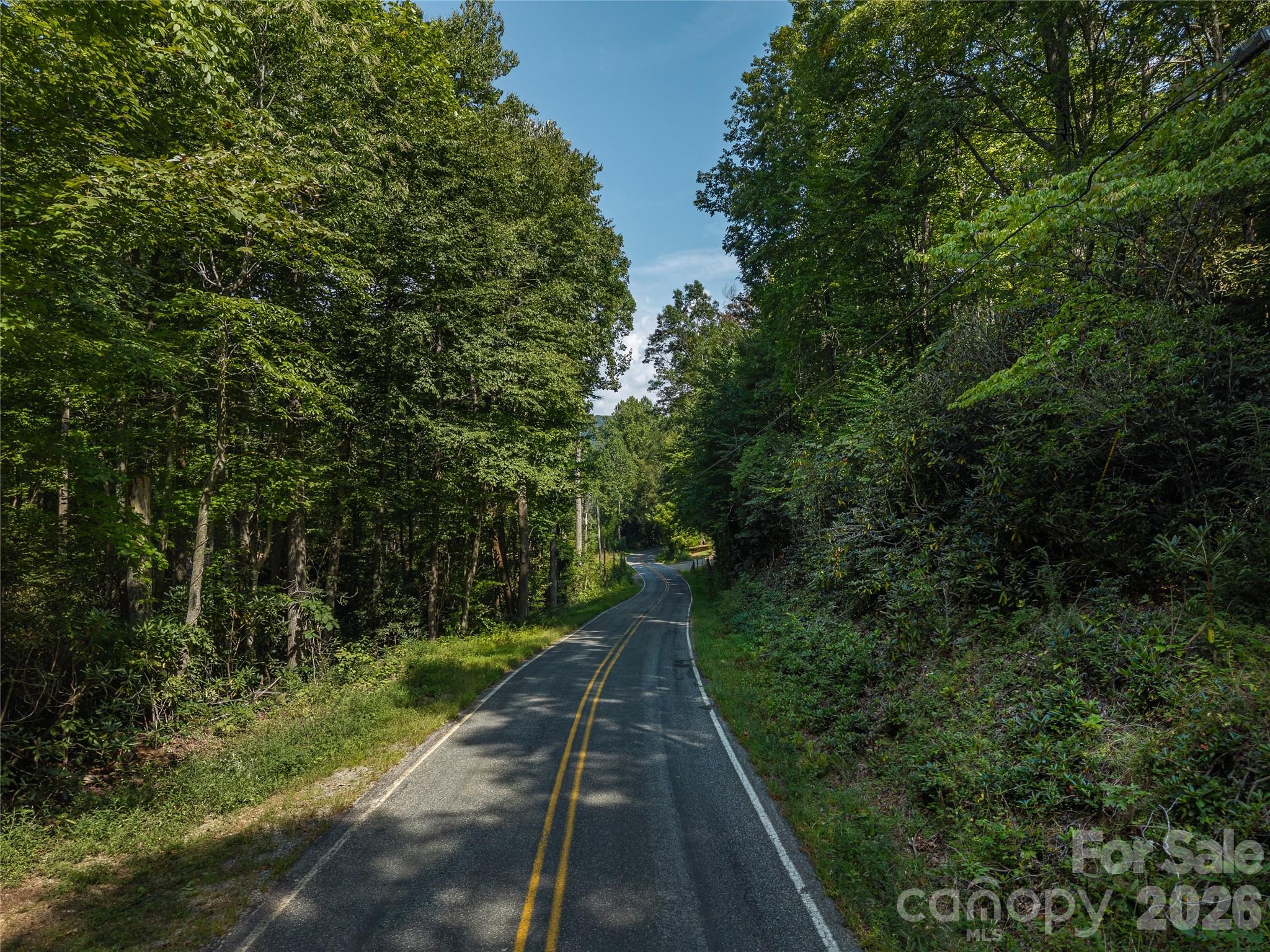 99999 Saw Branch Road Candler, NC 28715 - Photo 2 of 37 Gallery Image 2