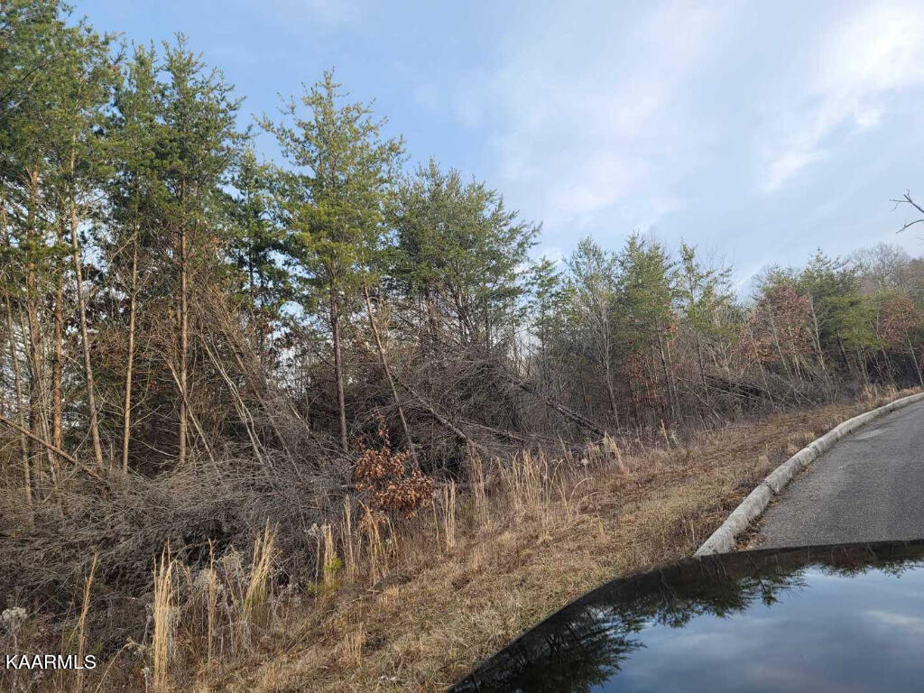 0 Megans Trail Bean Station, TN 37708 - Photo 2 of 16 01