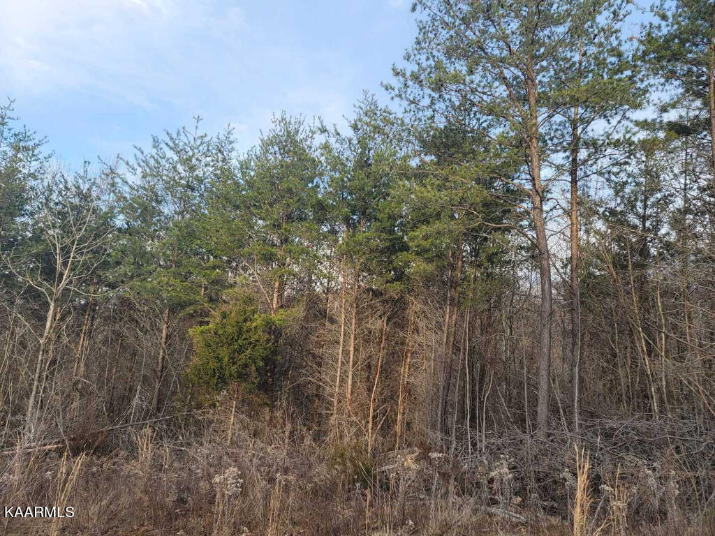 0 Megans Trail Bean Station, TN 37708 - Photo 3 of 16 02
